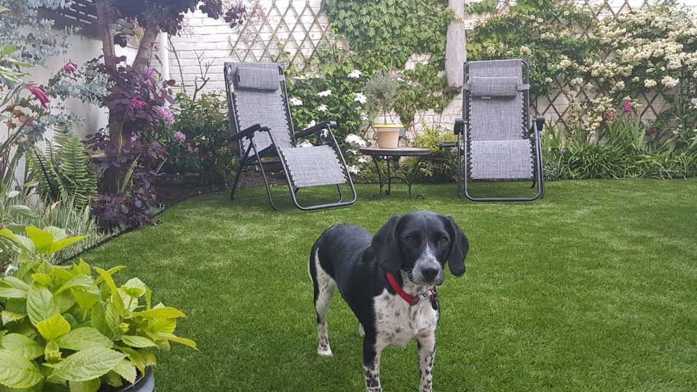 Gardens for dogs