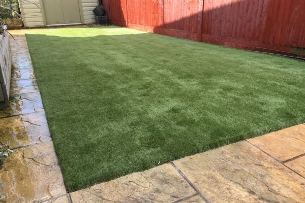 dog friendly artificial grass in Eastbourne
