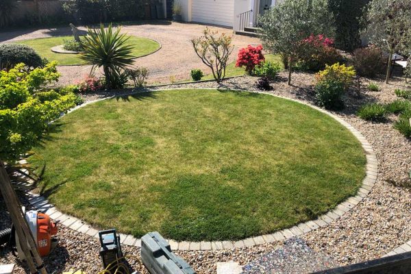 How to Tell if Your Lawn is Dead or Dormant